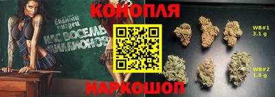 a pvp Пугачёв