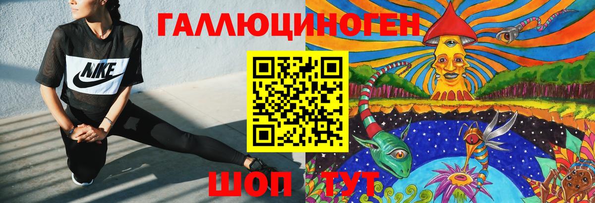 Псилоцибиновые грибы Psilocybine cubensis Краснокамск